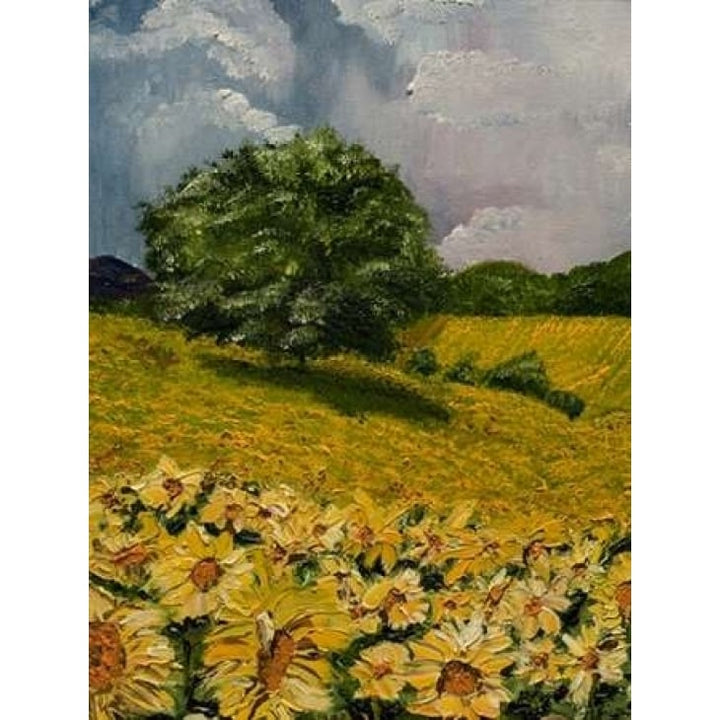 Tuscan Sunflowers II Poster Print by Jodi Monahan-VARPDXMON129 Image 2