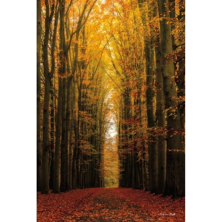 Highway to Heaven Poster Print by Martin Podt-VARPDXMPP148 Image 1