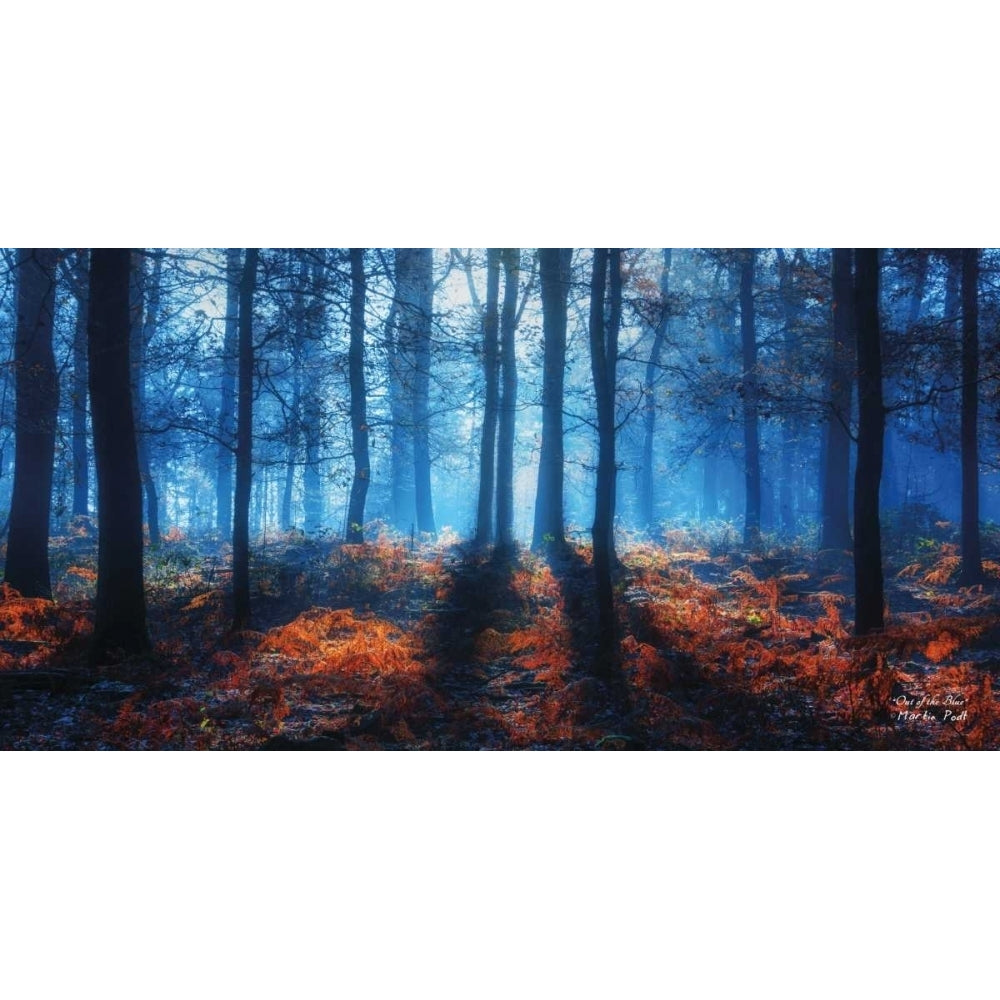 Out of the Blue Poster Print by Martin Podt-VARPDXMPP276 Image 1