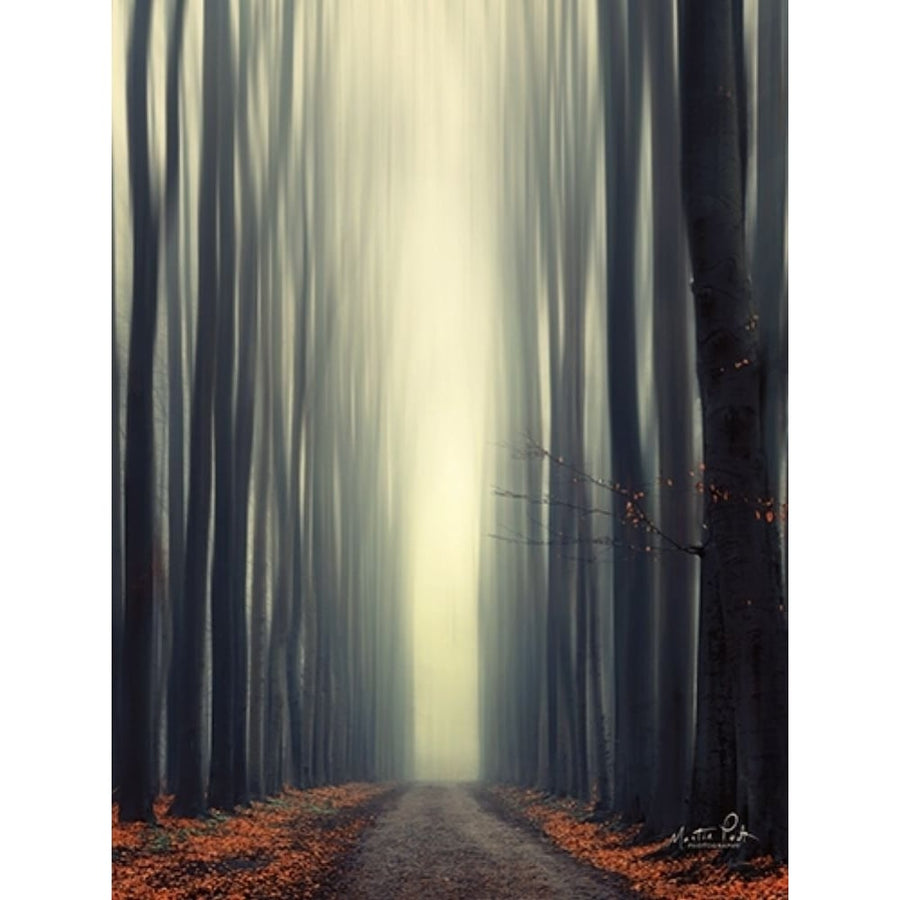 Reaching Out Poster Print by Martin Podt-VARPDXMPP395 Image 1