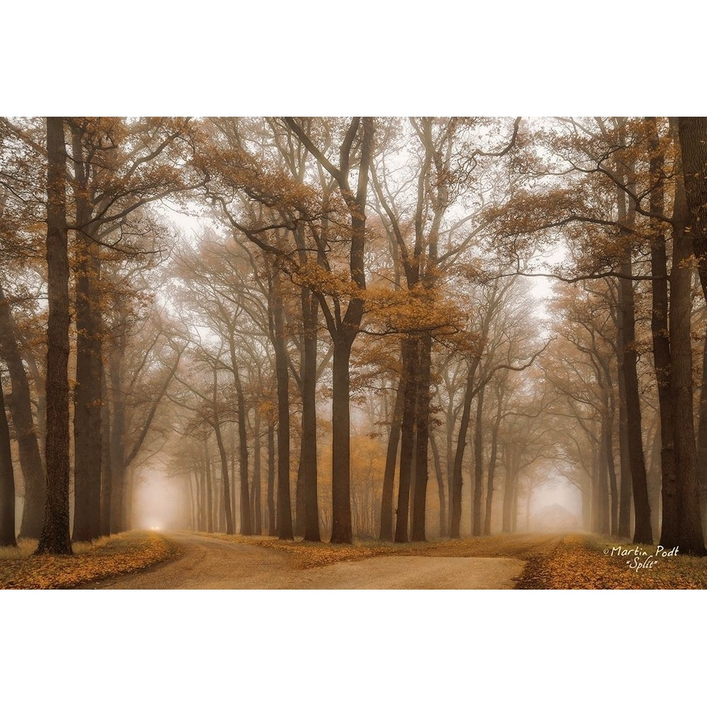 Split Poster Print by Martin Podt-VARPDXMPP282 Image 1