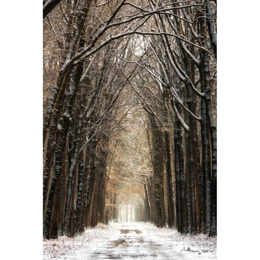 Winter Poster Print by Martin Podt-VARPDXMPP268 Image 1