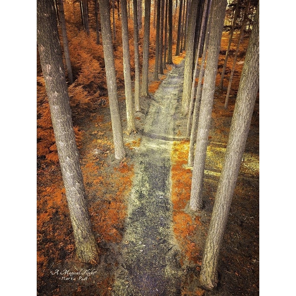 A Magical Flight Poster Print by Martin Podt-VARPDXMPP294 Image 1