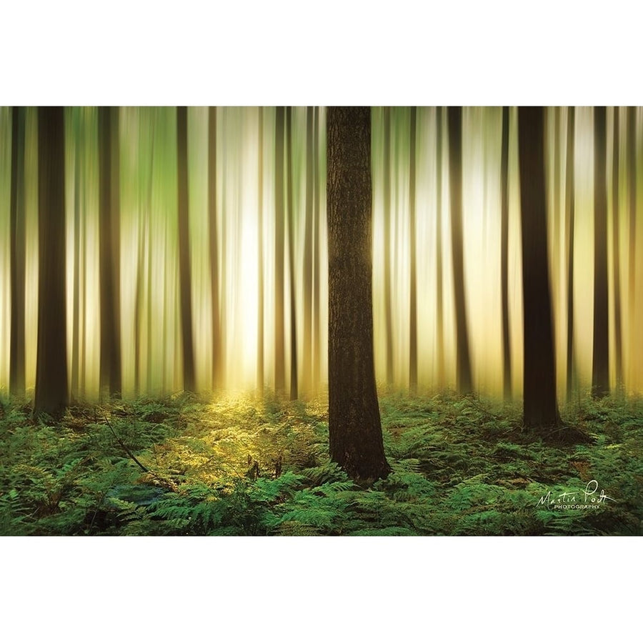 Forest in Motion Poster Print by Martin Podt-VARPDXMPP433 Image 1