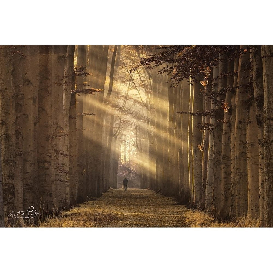 Walking the Dog Again Poster Print by Martin Podt-VARPDXMPP444 Image 1