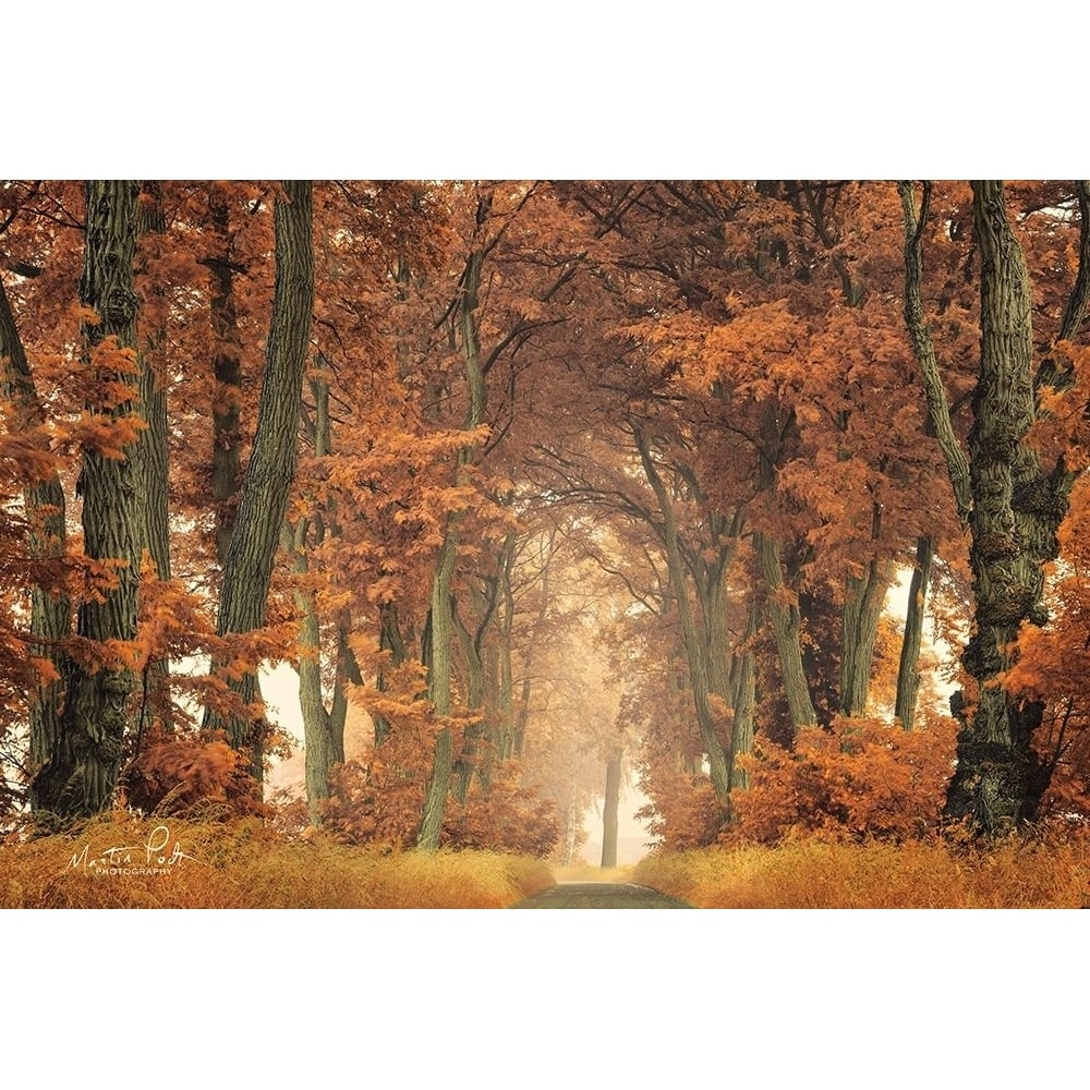 Follow Your Own Way Poster Print by Martin Podt-VARPDXMPP466 Image 1