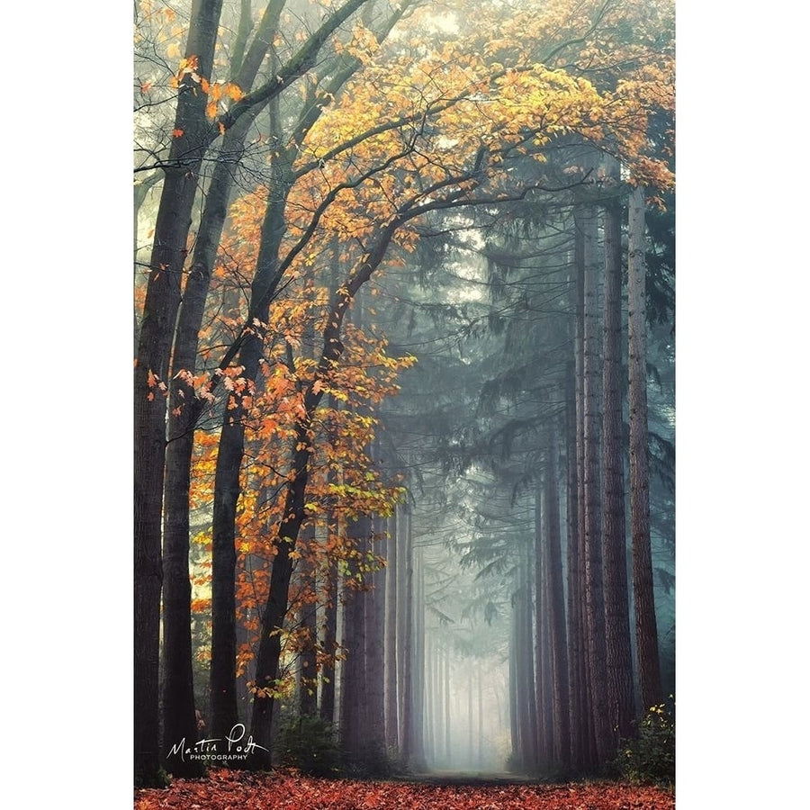 To Another World Poster Print by Martin Podt-VARPDXMPP507 Image 1