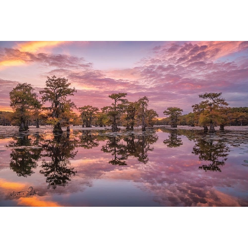 Magnificent Sunset in the Swamps Poster Print by Martin Podt-VARPDXMPP500 Image 1