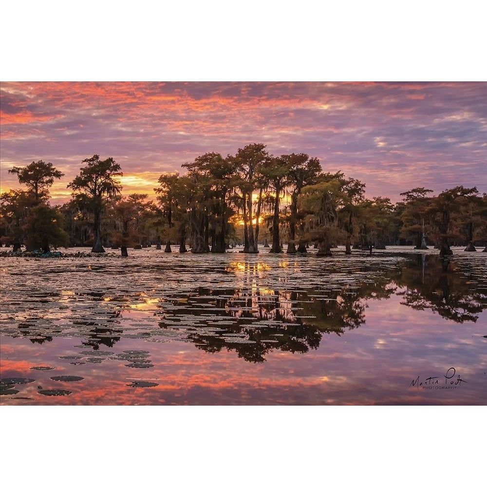 Sundown in the Swamps Poster Print by Martin Podt-VARPDXMPP516 Image 1