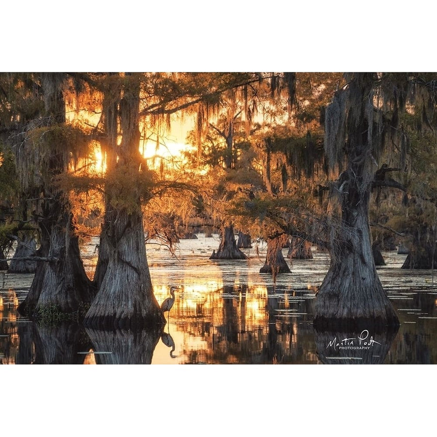 Sunset in the Swamps Poster Print by Martin Podt-VARPDXMPP494 Image 1