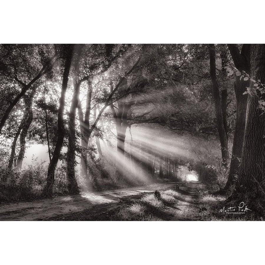 Black and White Rays Poster Print by Martin Podt-VARPDXMPP503 Image 1