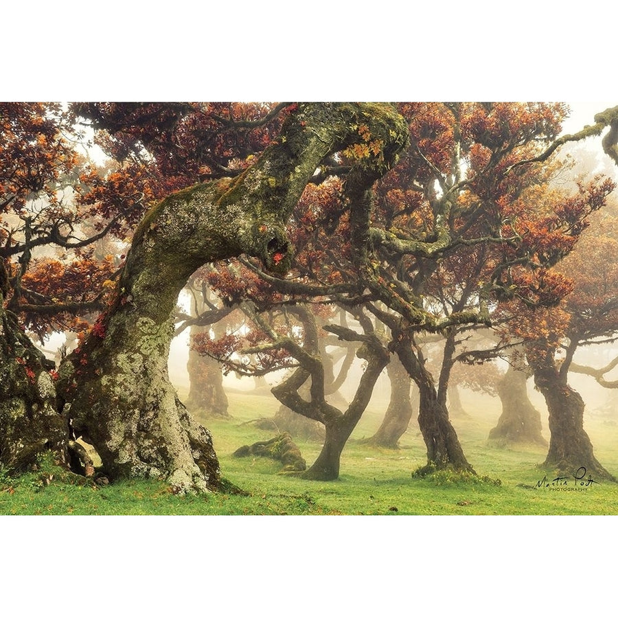 Fanal Poster Print by Martin Podt-VARPDXMPP475 Image 1