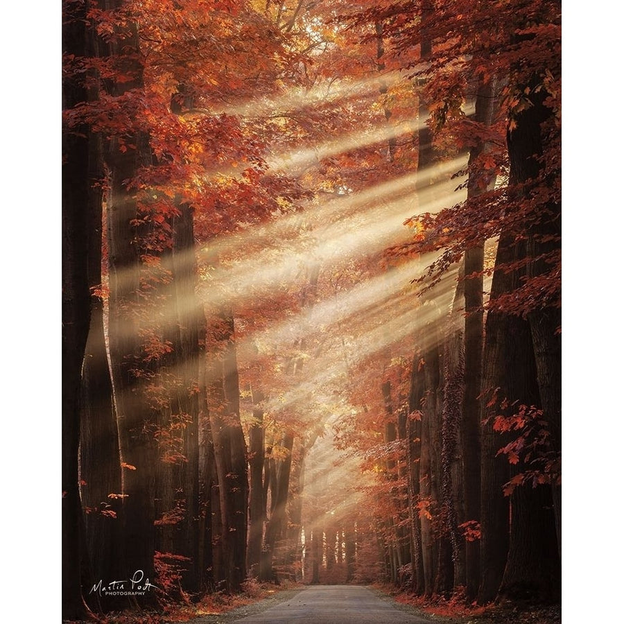 Ladies in Red Poster Print by Martin Podt-VARPDXMPP498 Image 1