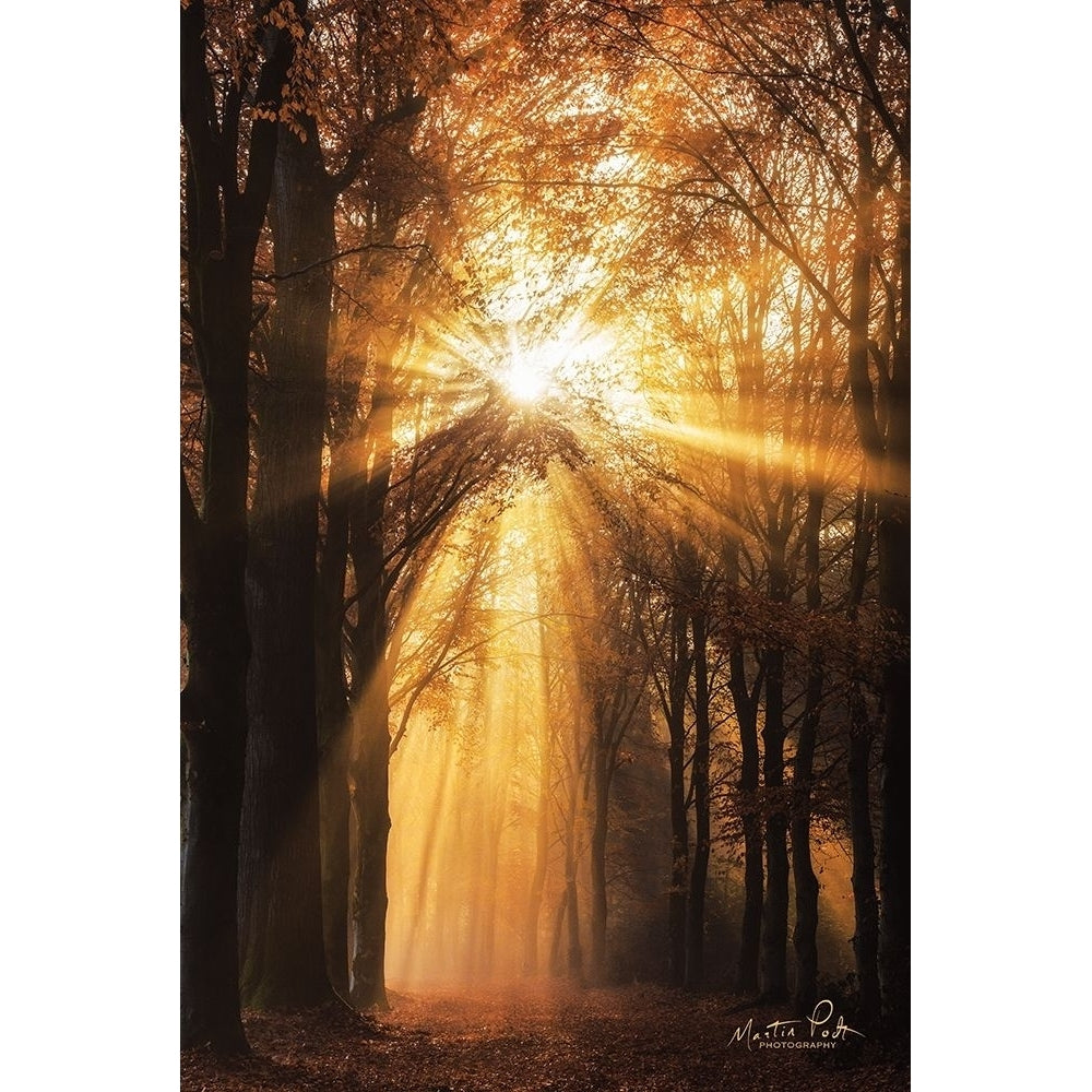 Sunburst Poster Print by Martin Podt-VARPDXMPP506 Image 1