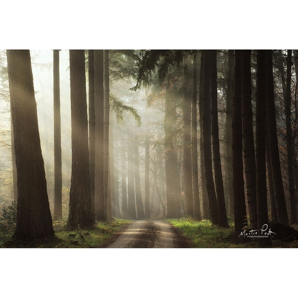 Natural Beauty by Martin Podt-VARPDXMPP522 Image 1