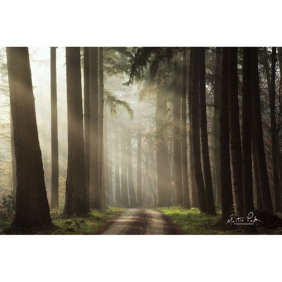 Natural Beauty by Martin Podt-VARPDXMPP522 Image 1