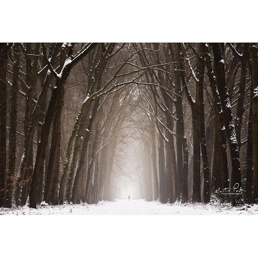 Lochem in Winter Poster Print by Martin Podt-VARPDXMPP544 Image 1