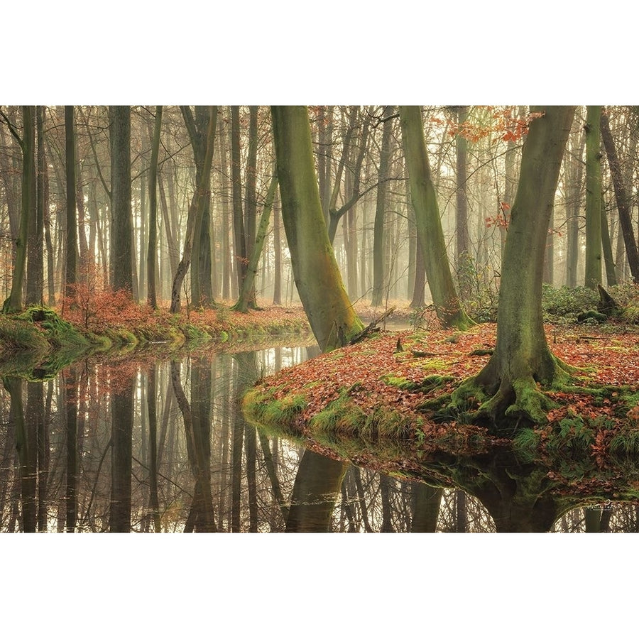 Rising Hope Poster Print by Martin Podt-VARPDXMPP675 Image 1