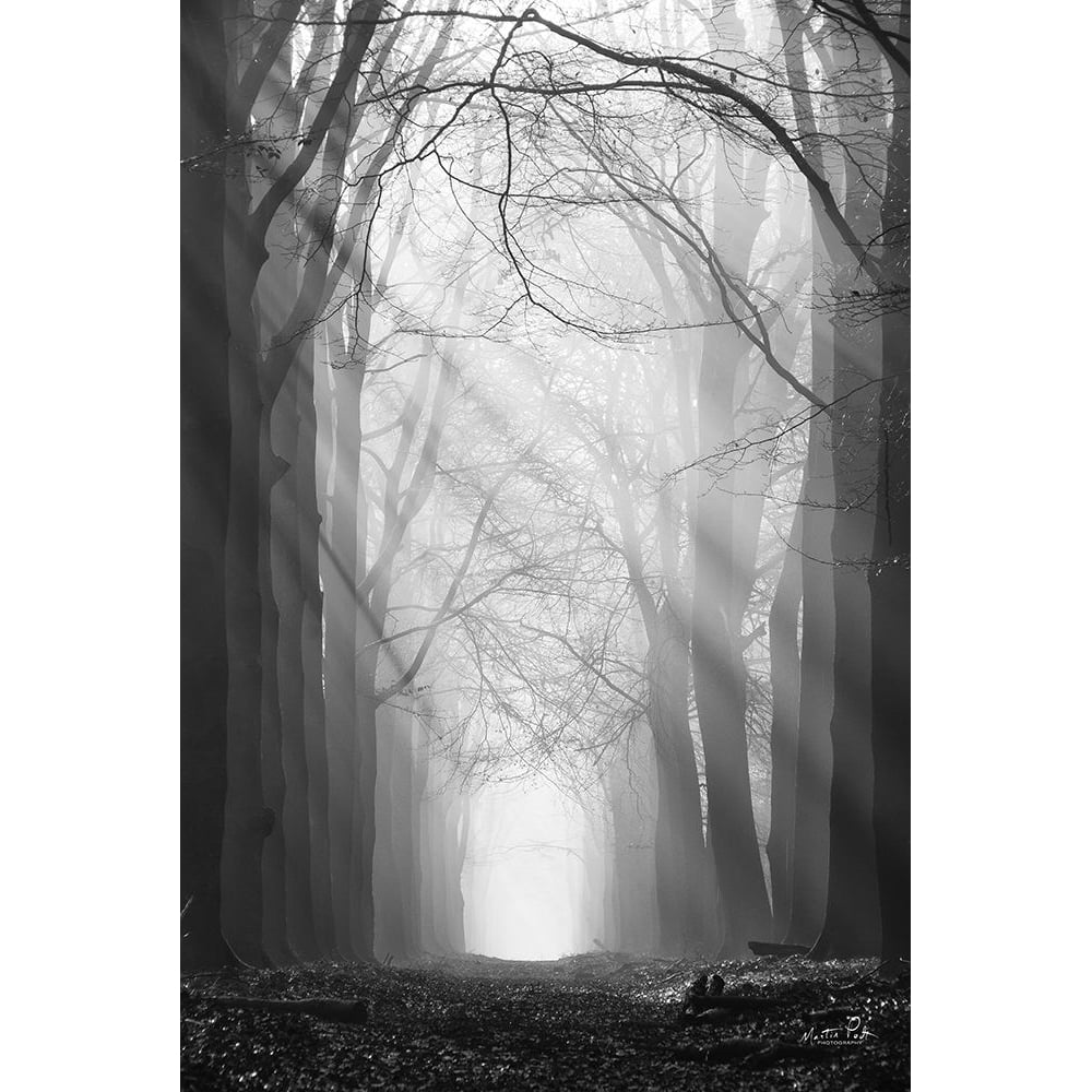 Sunray Path Poster Print - Martin Podt-VARPDXMPP808 Image 1