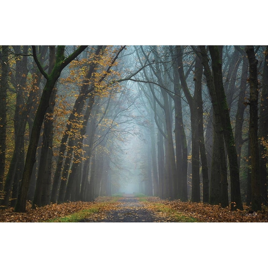 Moody Autumn by Martin Podt-VARPDXMPP777 Image 1