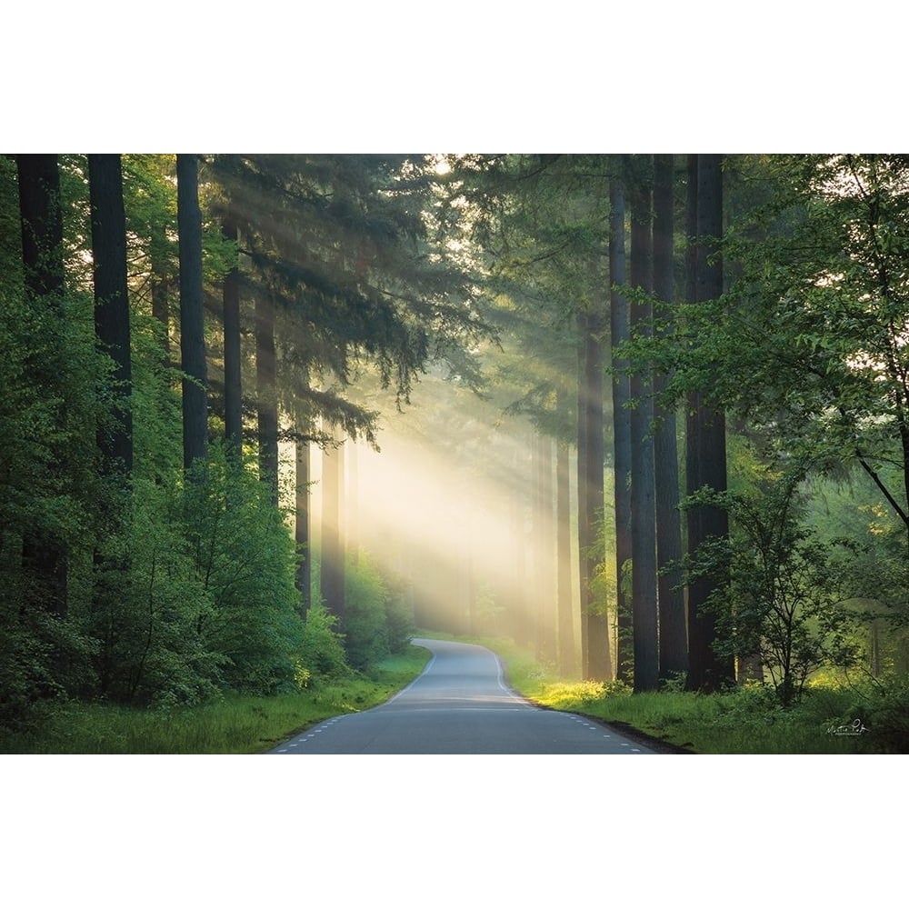 The Road Poster Print - Martin Podt-VARPDXMPP810 Image 1