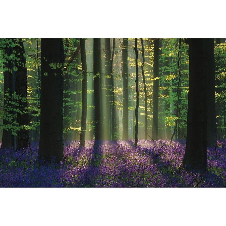 Perfect Spring Scene Poster Print - Martin Podt-VARPDXMPP800 Image 1