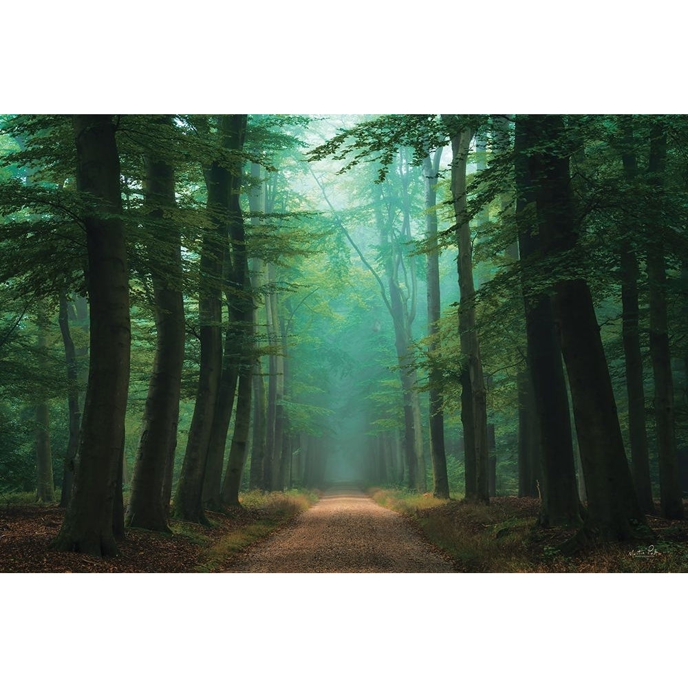 Road of Mysteries Poster Print - Martin Podt-VARPDXMPP866 Image 1