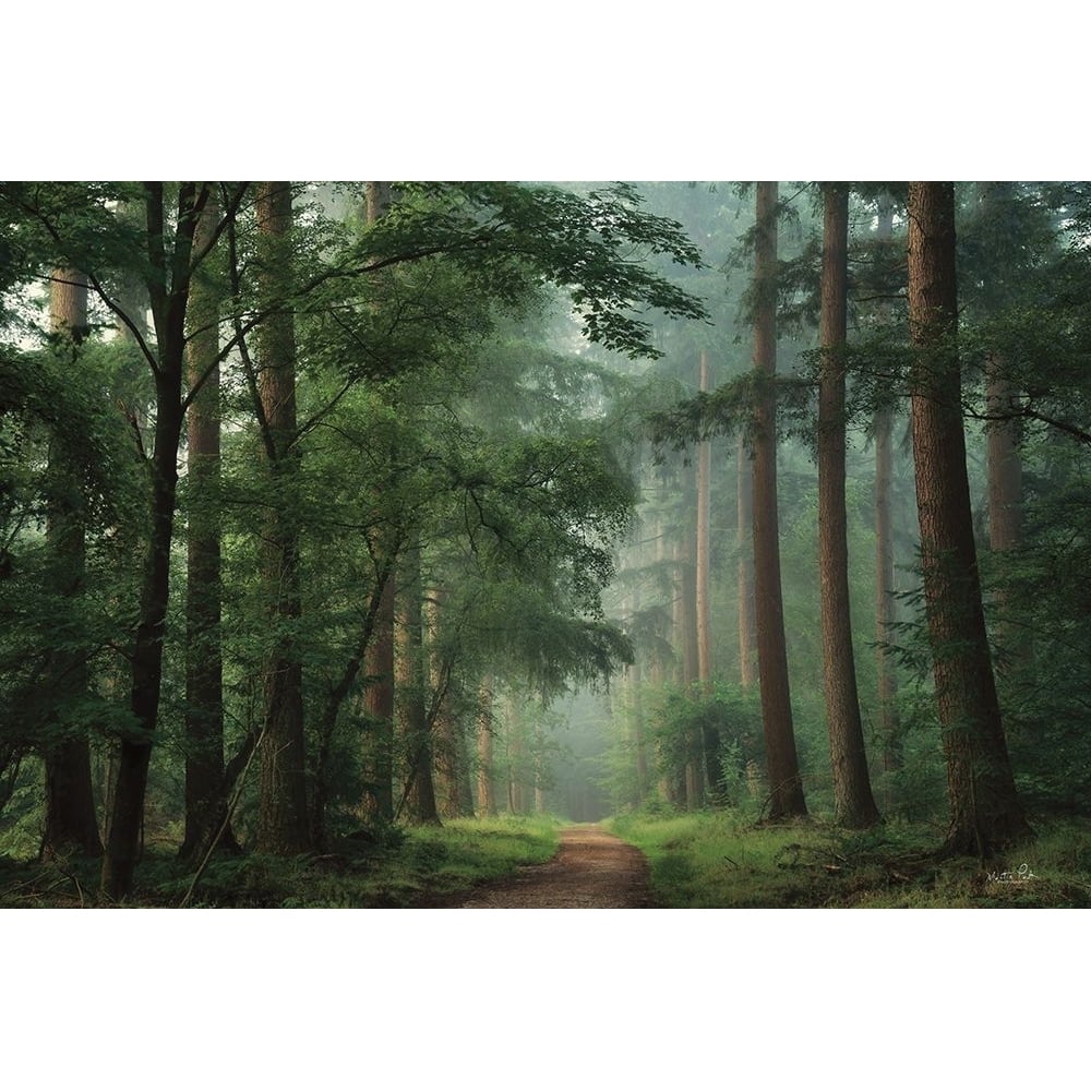 Moody Green Poster Print - Martin Podt-VARPDXMPP839 Image 1