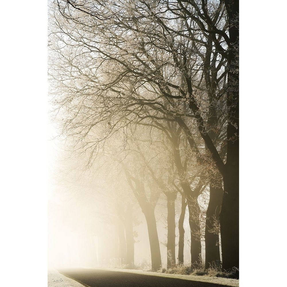 Fading Into the Light Poster Print - Martin Podt-VARPDXMPP892 Image 1