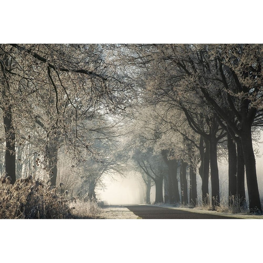 Dressed for Winter Poster Print - Martin Podt-VARPDXMPP893 Image 1