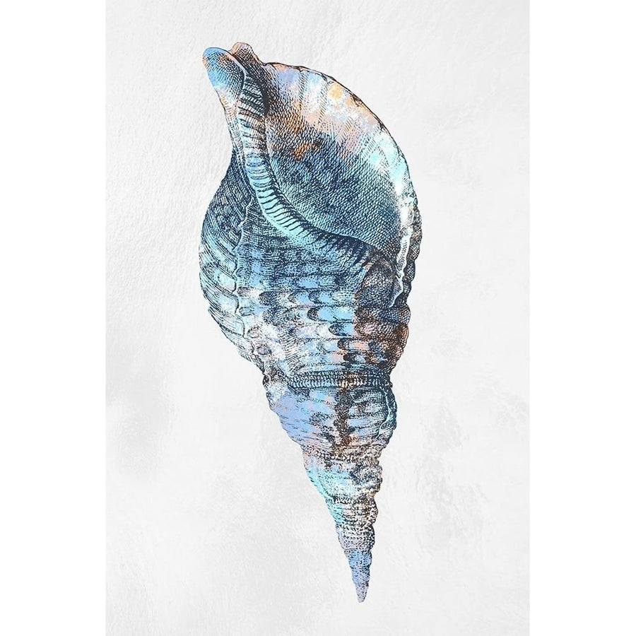 Urban Sea Shell 3 Poster Print - Marcus Prime-VARPDXMPRC1271C Image 1