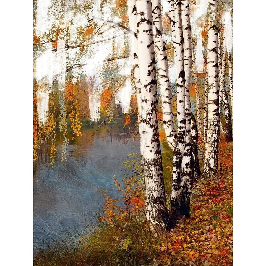 Birch Dream Poster Print by Marcus Prime-VARPDXMPRC271A Image 1