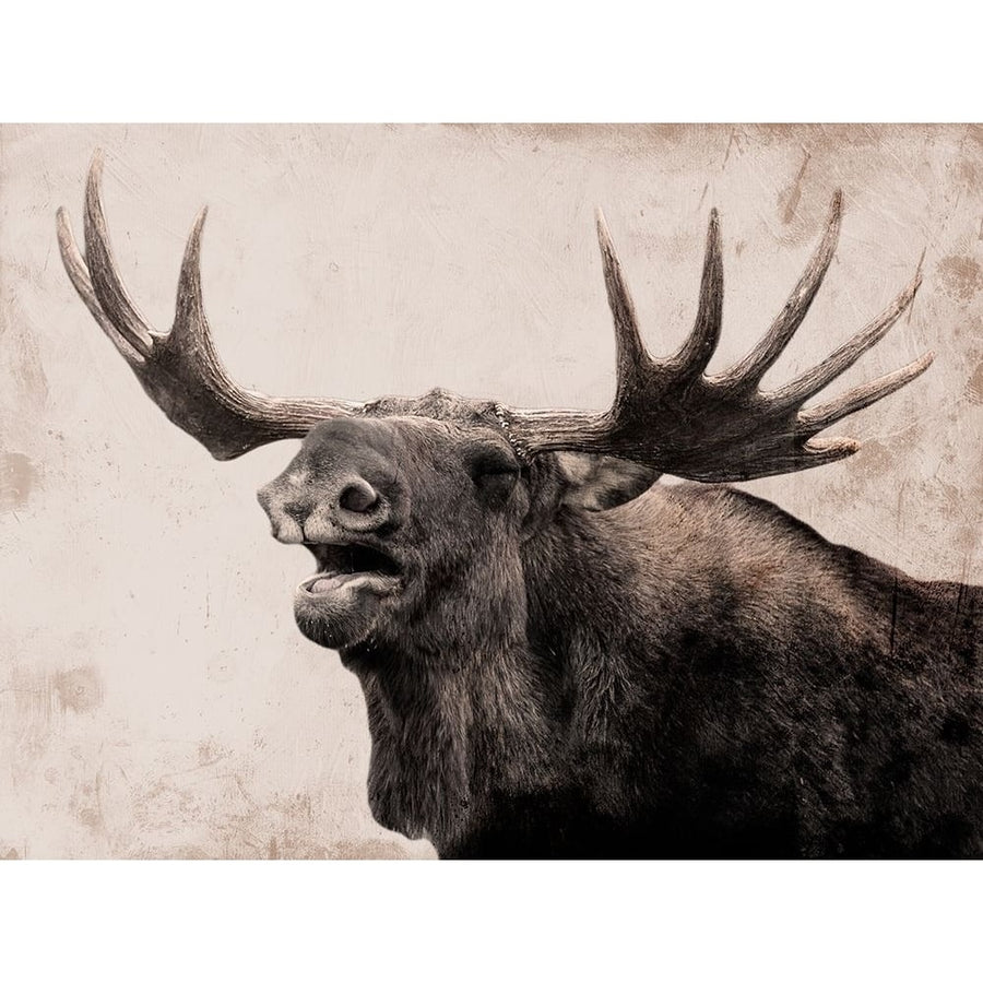 Moose Call Poster Print by Marcus Prime-VARPDXMPRC392A Image 1