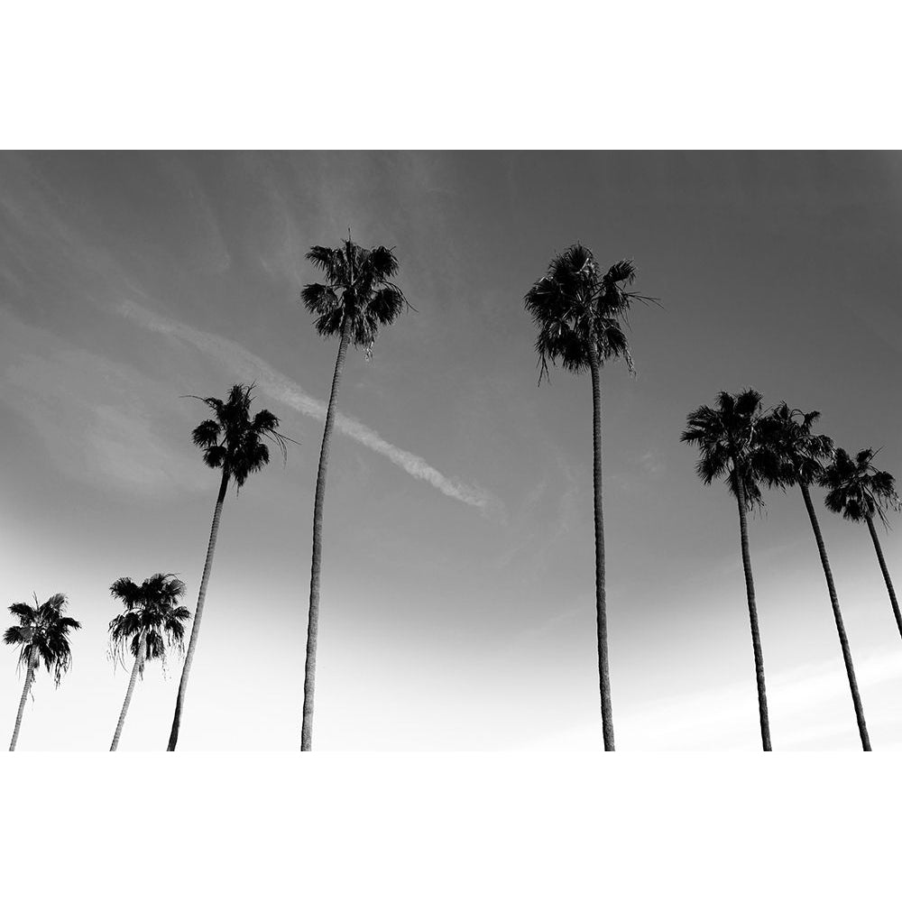 Passerby Palms Poster Print by Marcus Prime-VARPDXMPRC649A Image 1