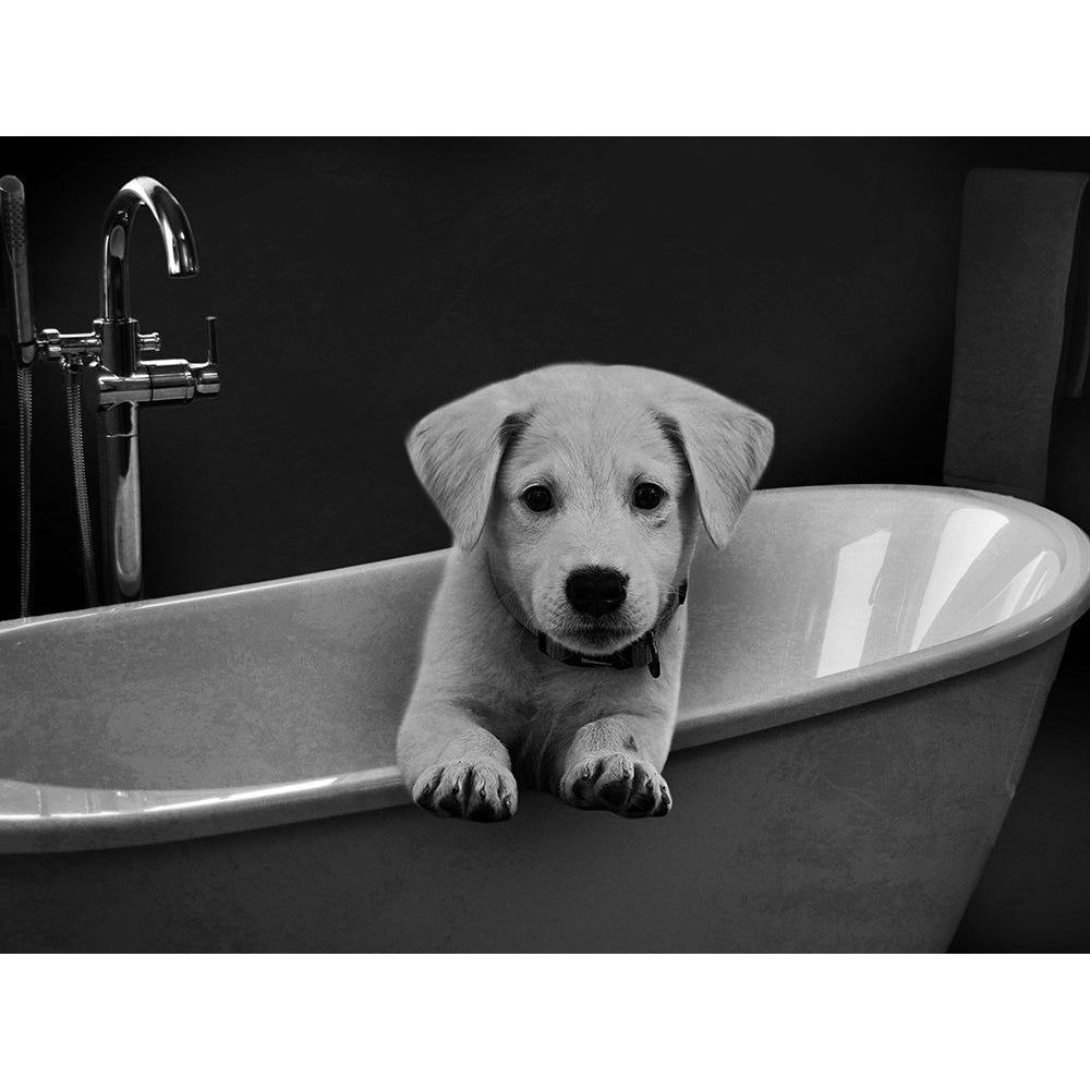 Bathroom Friend 1 Poster Print by Marcus Prime-VARPDXMPRC675B1 Image 1