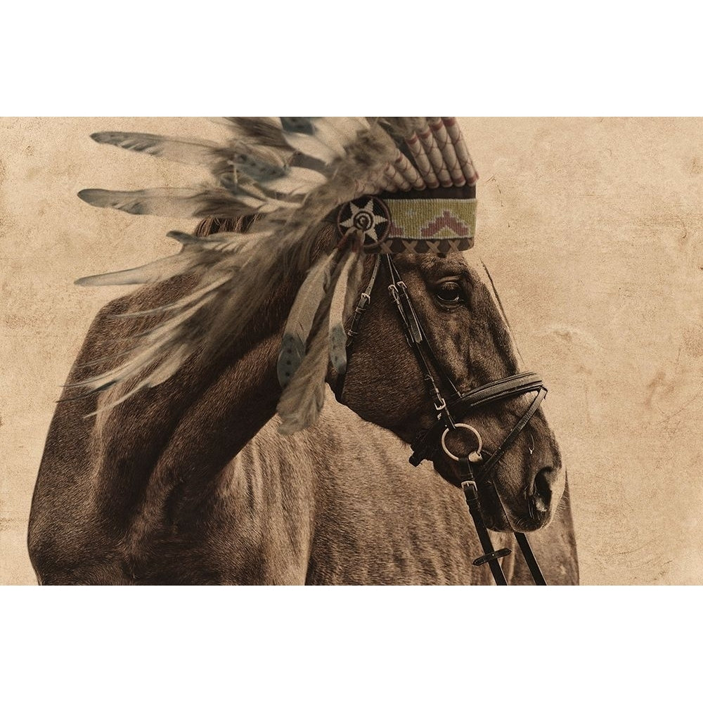 Native Horse Poster Print by Marcus Prime-VARPDXMPRC721A Image 1