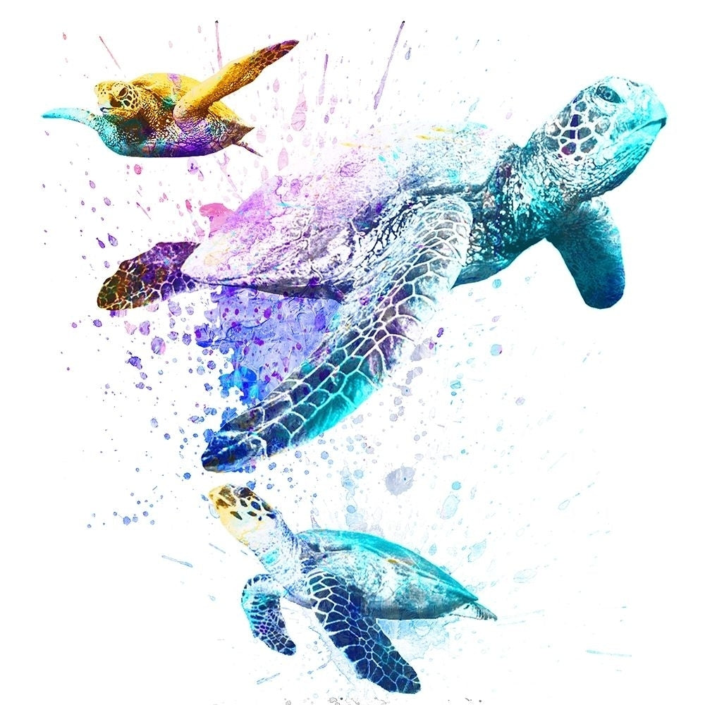 Splashing Turtles 2 by Marcus Prime-VARPDXMPSQ408A Image 1