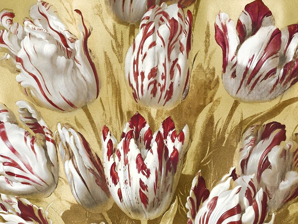 Tulips on Gold II Poster Print by Angela McQueen-VARPDXMQ115037 Image 1