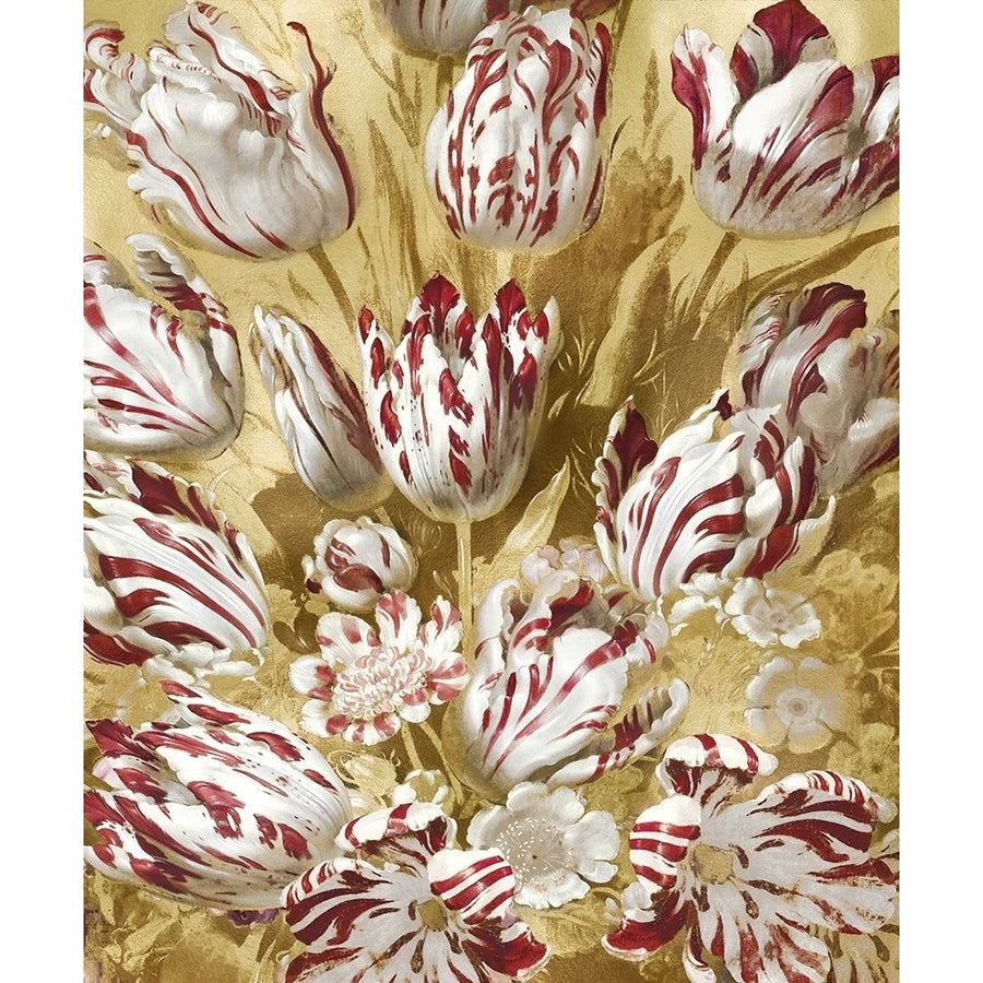 Tulip Bouquet in Red Poster Print by Angela McQueen-VARPDXMQ115035 Image 1