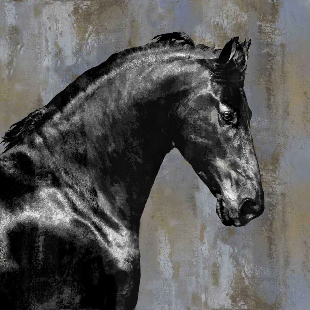 Black Stallion Poster Print by Martin Rose-VARPDXMRR113456 Image 1