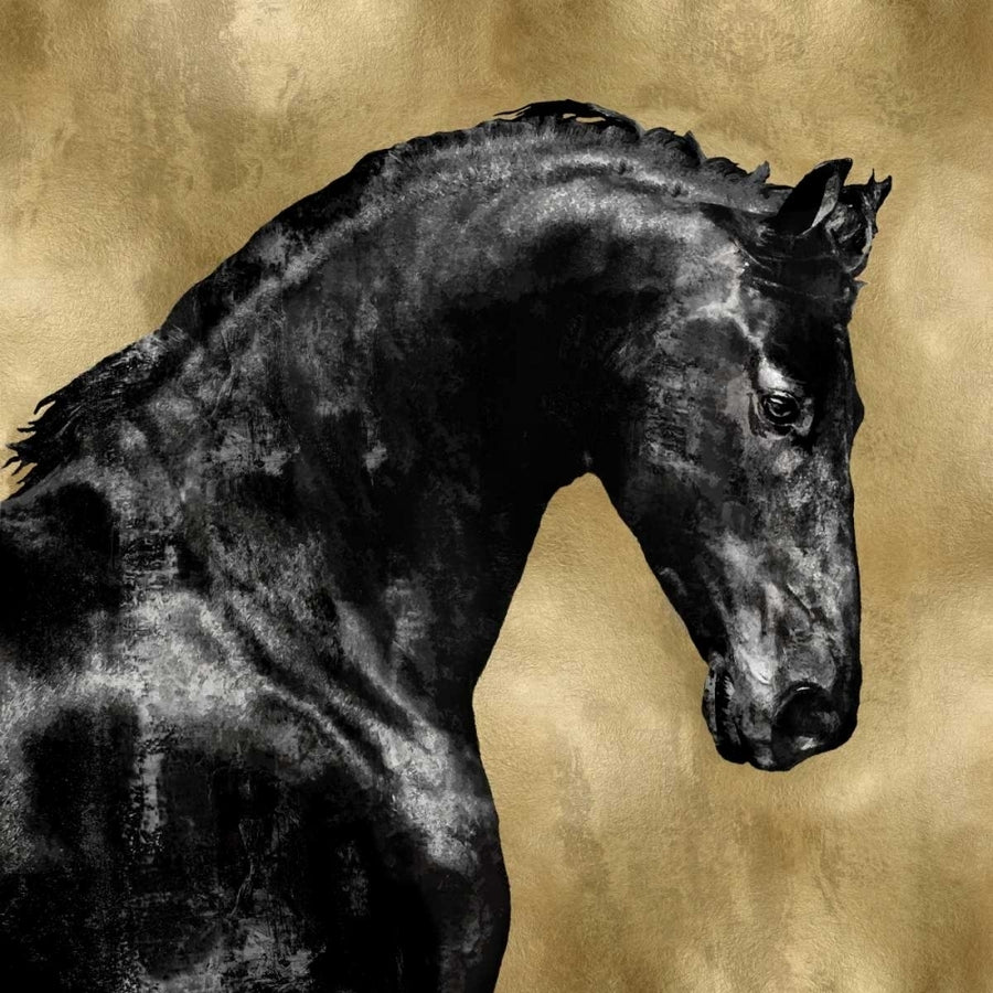 Black Stallion on Gold Poster Print by Martin Rose-VARPDXMRR113457 Image 1