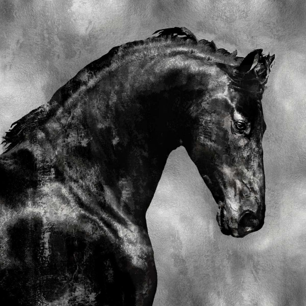 Black Stallion on Silver Poster Print by Martin Rose-VARPDXMRR113458 Image 1