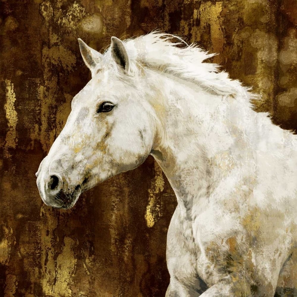 White Stallion Poster Print by Martin Rose-VARPDXMRR113459 Image 1