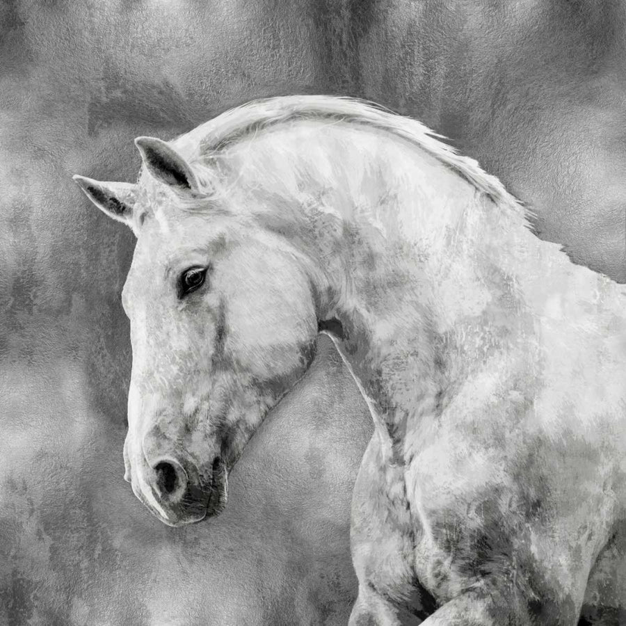 White Stallion on Silver Poster Print by Martin Rose-VARPDXMRR113461 Image 1