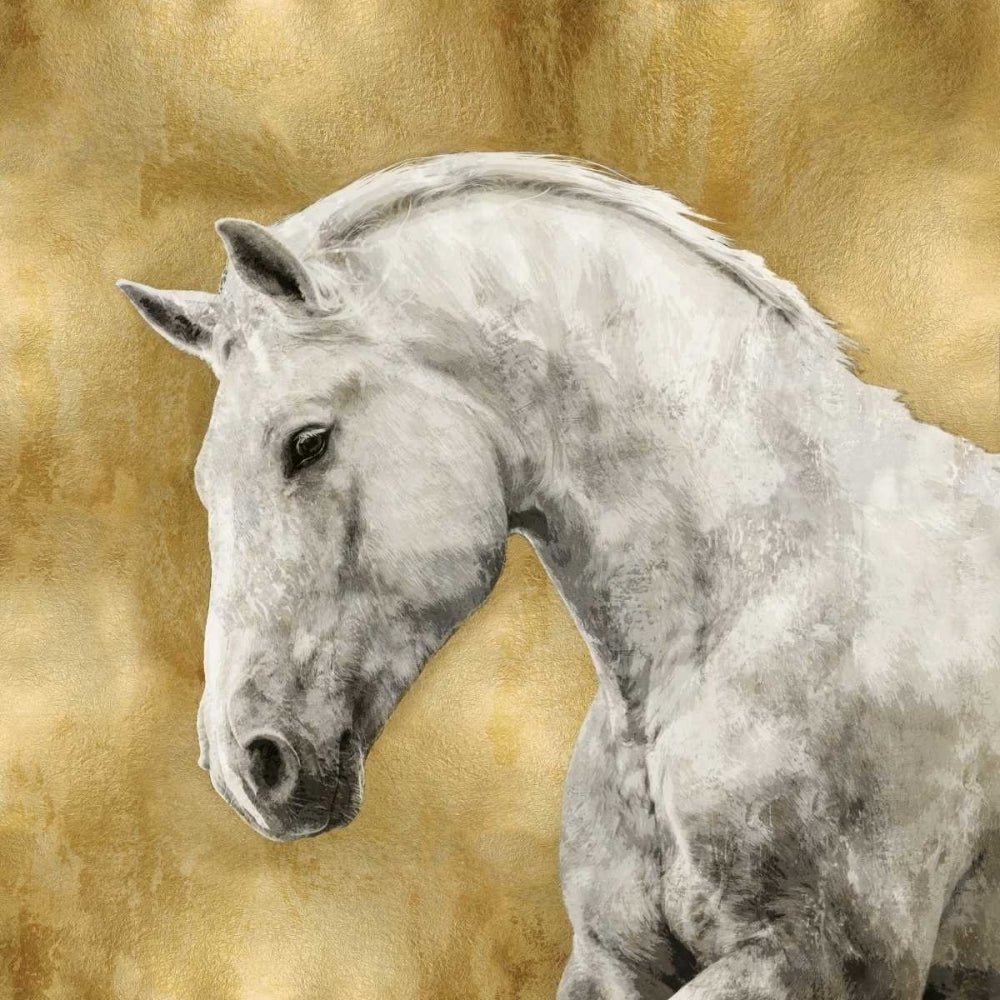 White Stallion on Gold Poster Print by Martin Rose-VARPDXMRR113460 Image 1