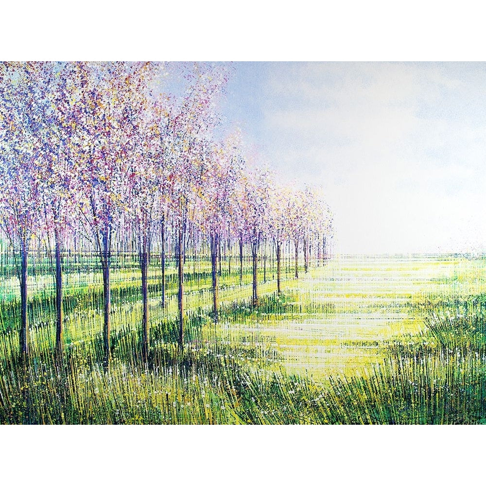 Orchard Trees In Blossom Poster Print - Marc Todd-VARPDXMT0022 Image 1