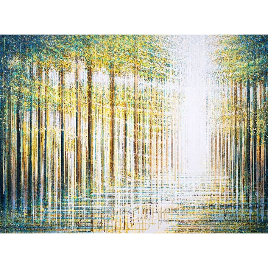 Light Dancing Through The Forest Poster Print - Marc Todd-VARPDXMT0053 Image 1