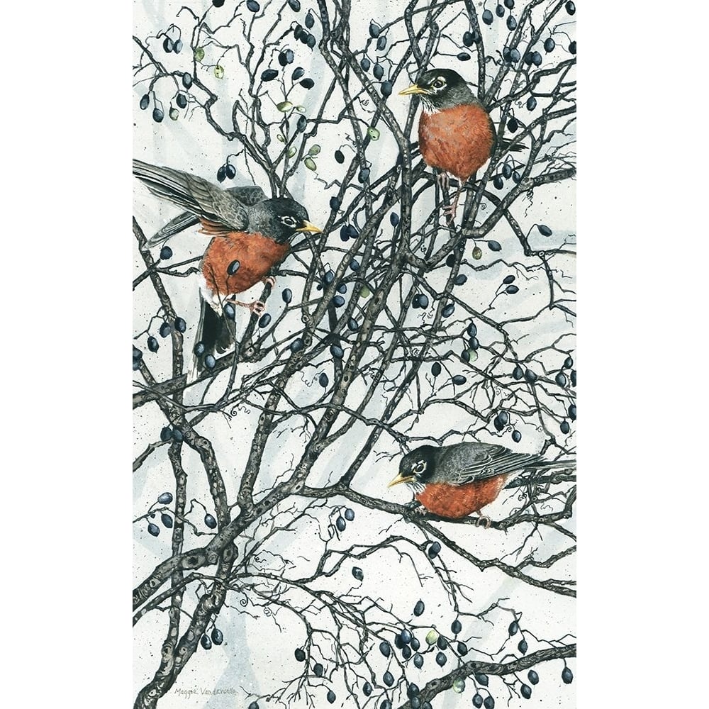 Winter Berries Poster Print - Maggie Vandewalle-VARPDXMV0119 Image 1