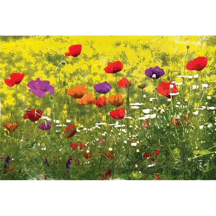 Another Pack Of Poppies Poster Print by Mlli Villa-VARPDXMVRC002B Image 2