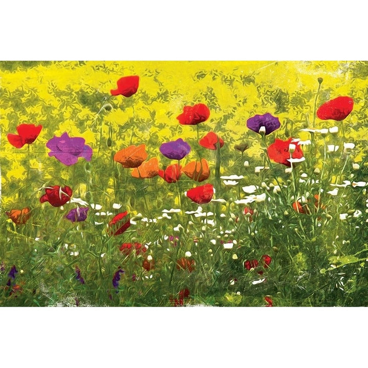 Another Pack Of Poppies Poster Print by Mlli Villa-VARPDXMVRC002B Image 1